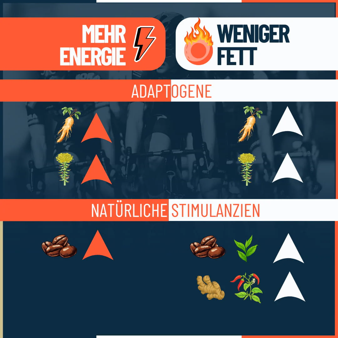 Fusion - Image 9